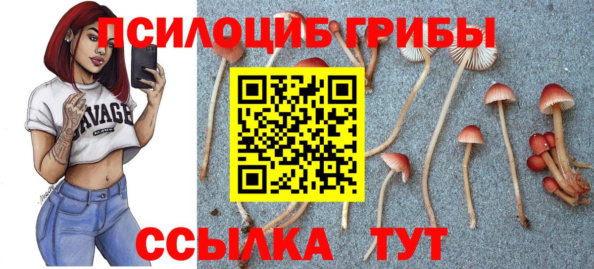 Галлюциногенные грибы мицелий  Вход с VPN  Наро-Фоминск  Псилоцибиновые грибы ЛСД 